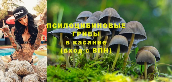 ешки Алексеевка