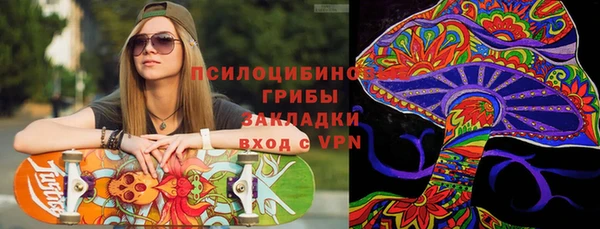ешки Алексеевка