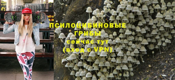 ешки Алексеевка