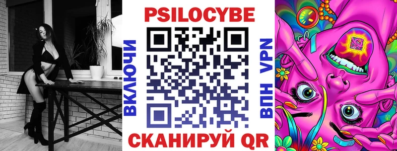 Галлюциногенные грибы Psilocybe  Старая Русса 
