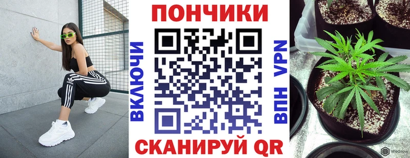 Бошки Шишки сатива  купить наркотик  Старая Русса 
